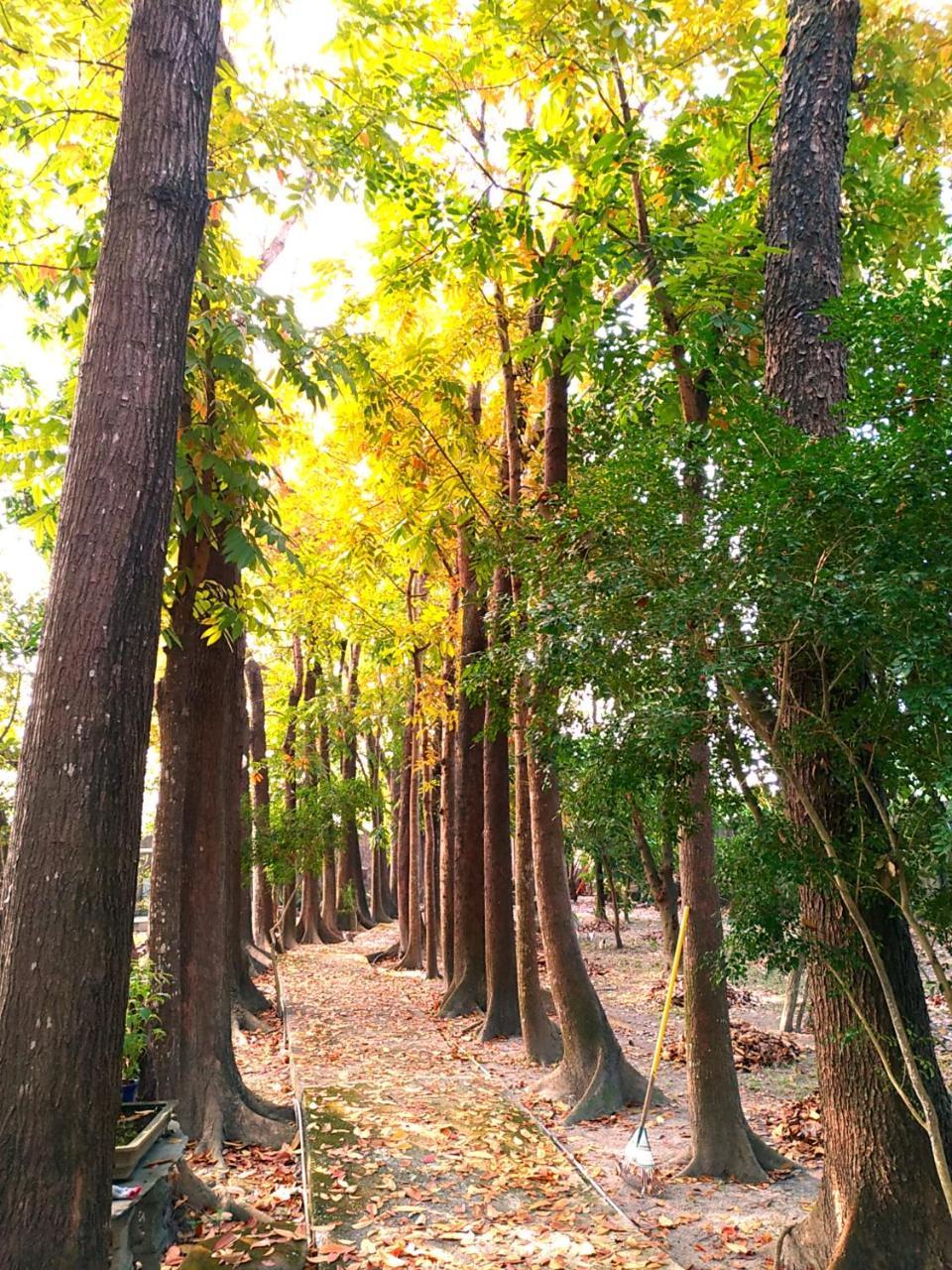 Meinong Yun Shanju Homestay Mei-nung Ngoại thất bức ảnh