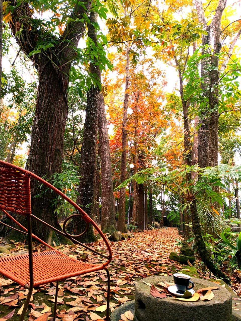 Meinong Yun Shanju Homestay Mei-nung Ngoại thất bức ảnh