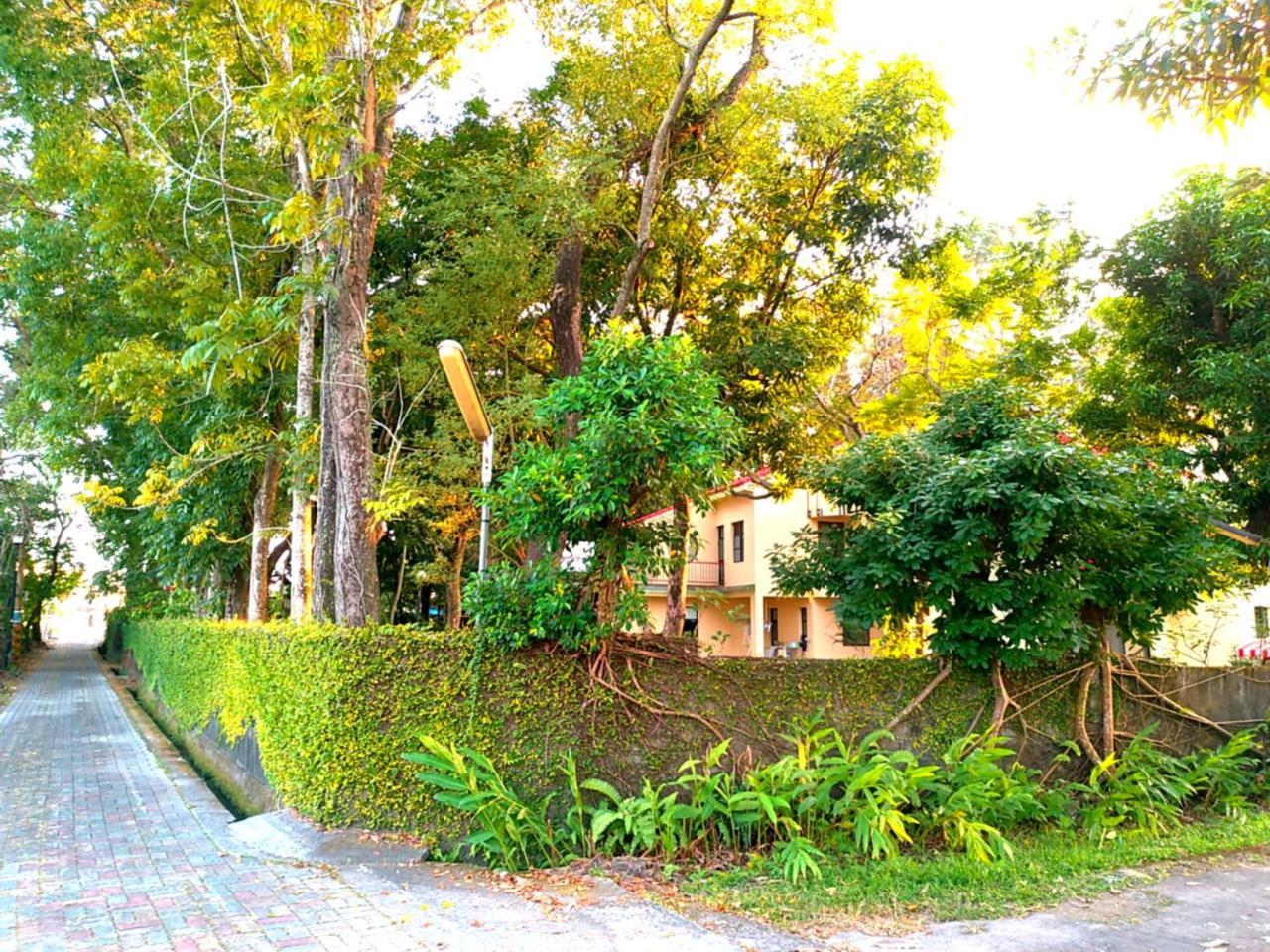 Meinong Yun Shanju Homestay Mei-nung Ngoại thất bức ảnh